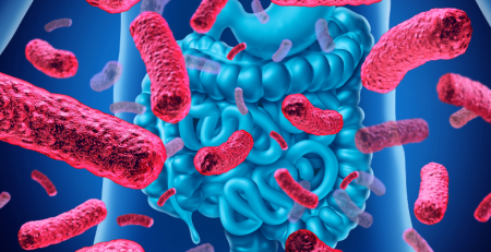 Bactérias do intestino humano produzem compostos que inibem o vírus SARS-CoV-2